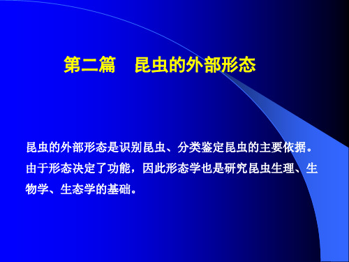 第二篇、昆虫的外部形态-定