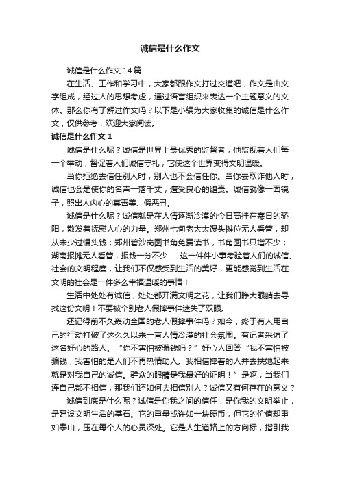 诚信是什么作文14篇