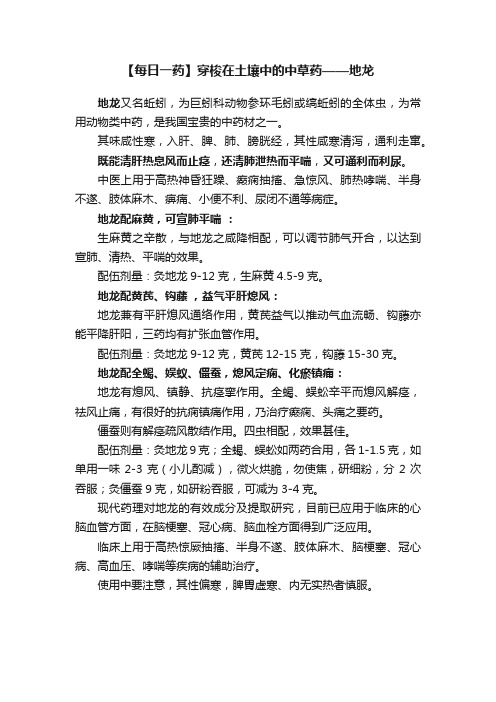 【每日一药】穿梭在土壤中的中草药——地龙