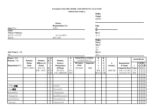 FMEA格式