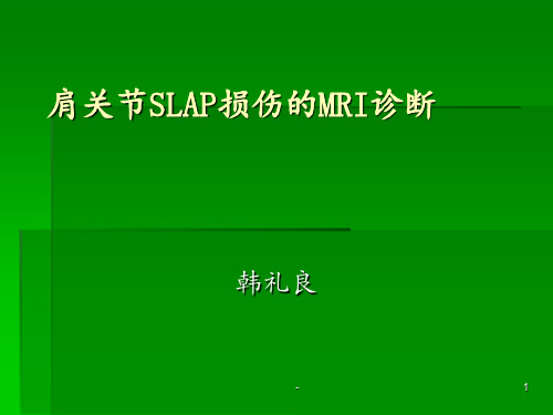 肩关节SLAP损伤的MRI诊断ppt课件