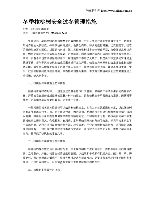 冬季核桃树安全过冬管理措施