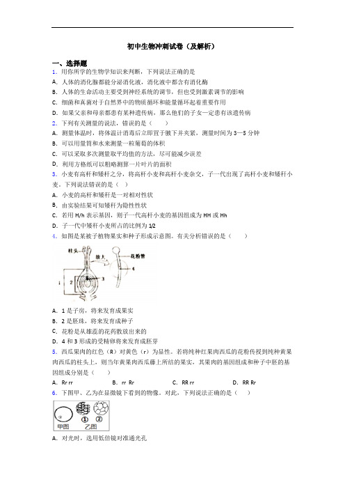 初中生物冲刺试卷(及解析)