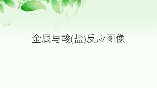 2020人教版化学高考复习-金属与酸(盐)反应图像(共32张PPT)