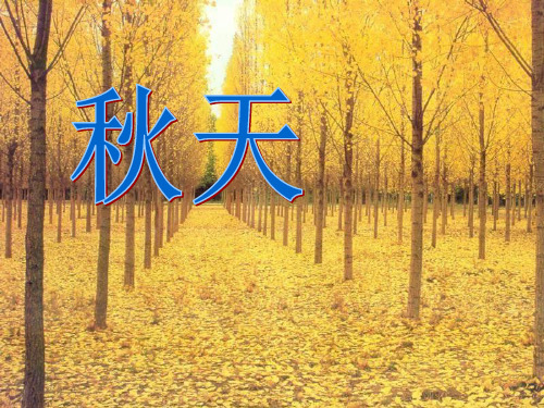 四年级上册语文课件4《秋天》｜苏教版 (共34张PPT)