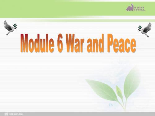 英语外研版选修6 Module 6 War and Peace introduction reading(6)