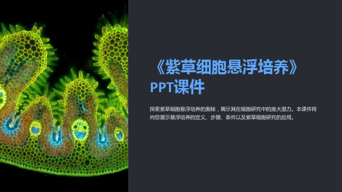 《紫草细胞悬浮培养》课件