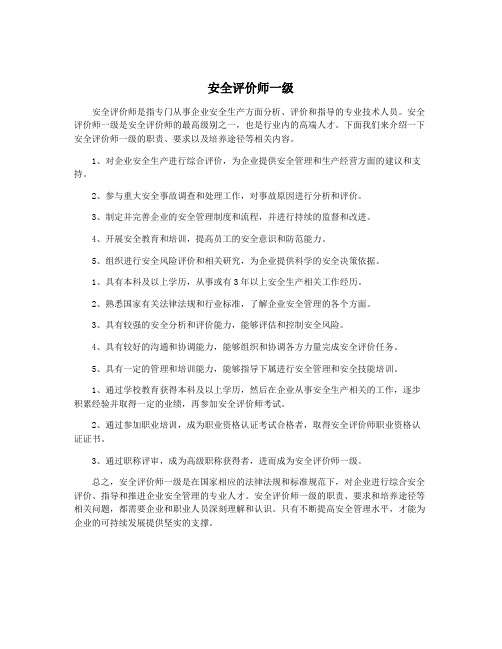 安全评价师一级