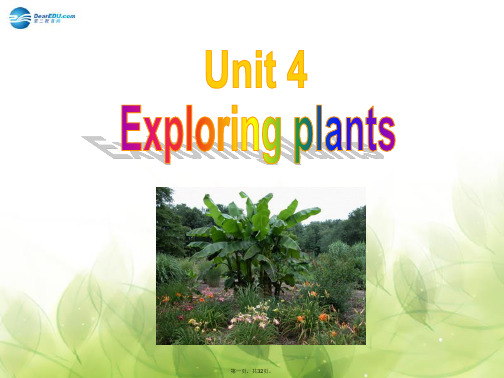 高中英语 Unit 4 Exploring plants Warming up课件 新人教版选修9