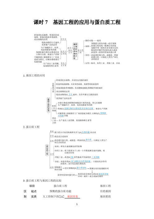 2025高考生物备考教案：第十一章 生物技术与工程 课时7 基因工程的应用与蛋白质工程