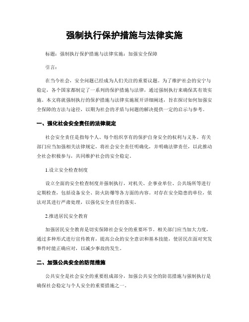 强制执行保护措施与法律实施