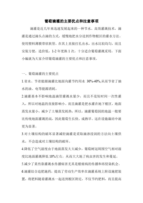 葡萄滴灌的主要优点和注意事项.doc