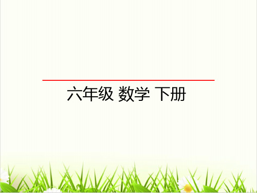 小学数学西师大版《数与代数》优秀PPT课件1