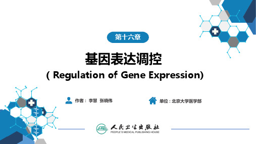 生物化学及分子生物学(人卫第九版)-16基因表达调控说课讲解