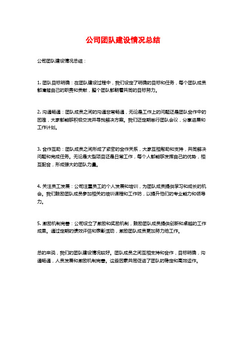 公司团队建设情况总结