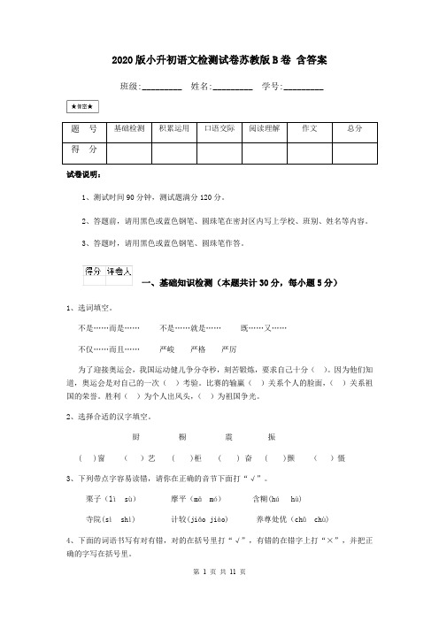 2020版小升初语文检测试卷苏教版B卷 含答案