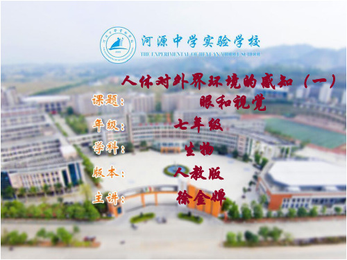 第一节人体对外界环境的感知