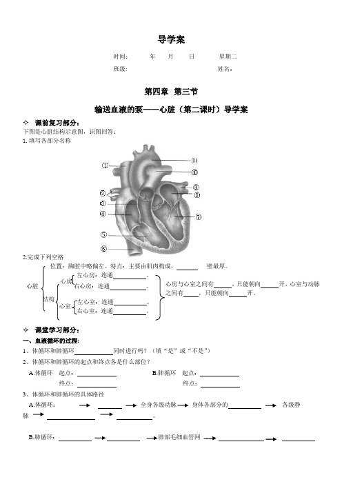 《输送血液的泵——心脏(第2课时)》导学案