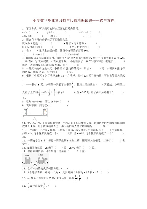 小升初数学一课一练-式与方程-通用版