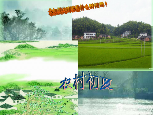 古诗1:乡村四月
