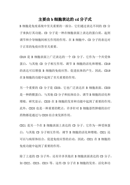 主要由b细胞表达的cd分子式