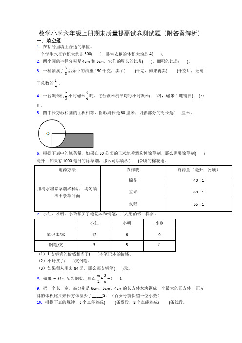 数学小学六年级上册期末质量提高试卷测试题(附答案解析)