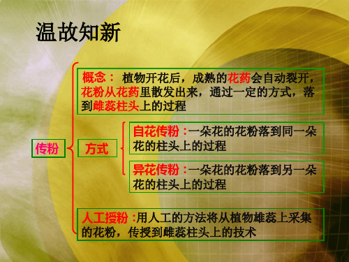 生物八年级上册第四单元第一章第二节传粉与受精