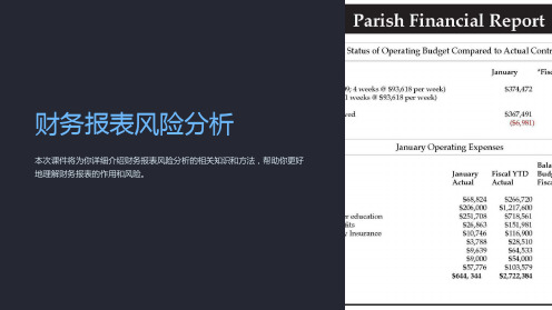 《财务报表风险分析》课件