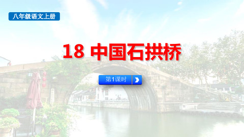 最新人教部编版八年级语文上册《中国石拱桥(第1课时)》精品教学课件