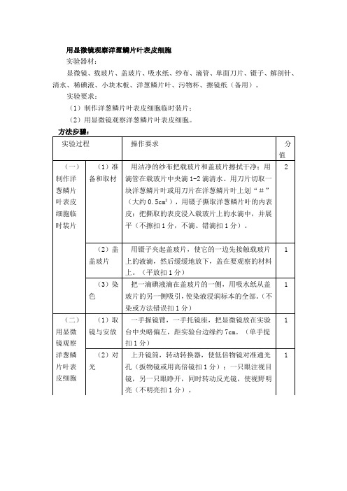 用显微镜观察洋葱鳞片叶表皮细胞