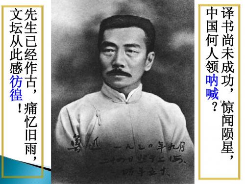 07纪念刘和珍君课文