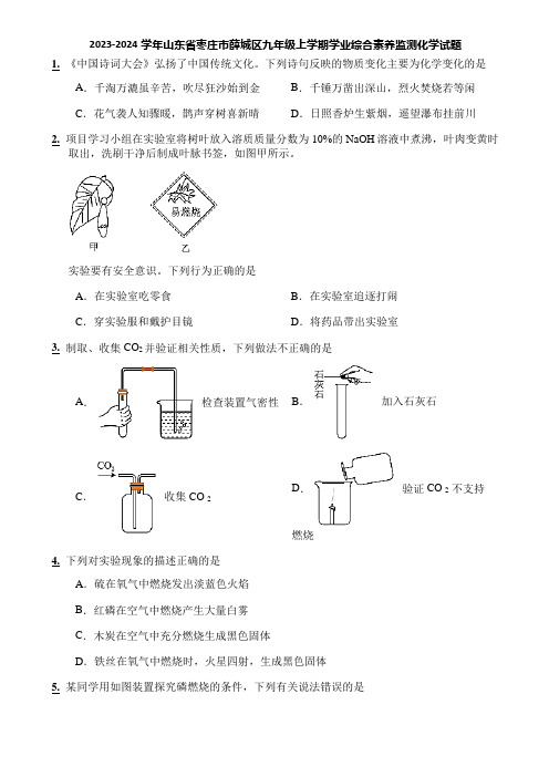 2023-2024学年山东省枣庄市薛城区九年级上学期学业综合素养监测化学试题