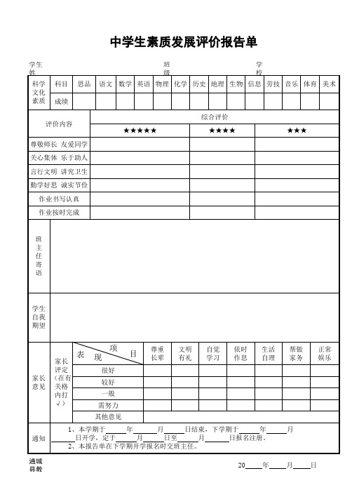 中学生素质发展评价报告单