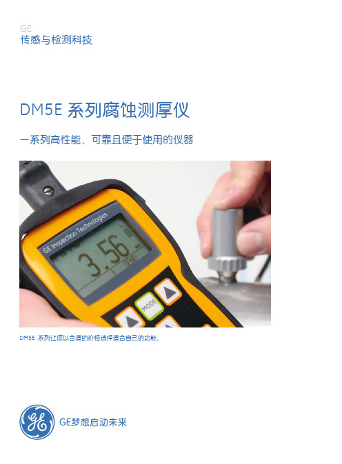 DM5E 系列腐蚀测厚仪 说明书