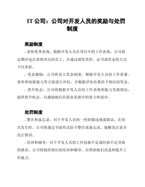 IT公司：公司对开发人员的奖励与处罚制度