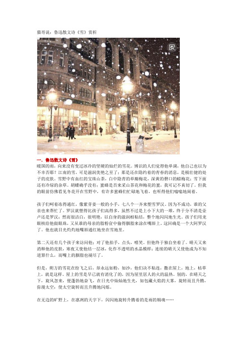 猫哥说：鲁迅散文诗《雪》赏析