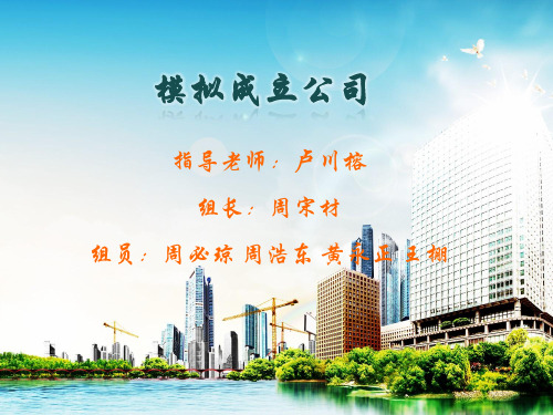 模拟成立公司