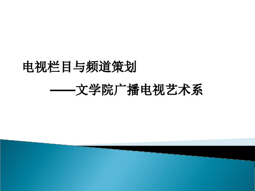 第五章电视栏目策划分析