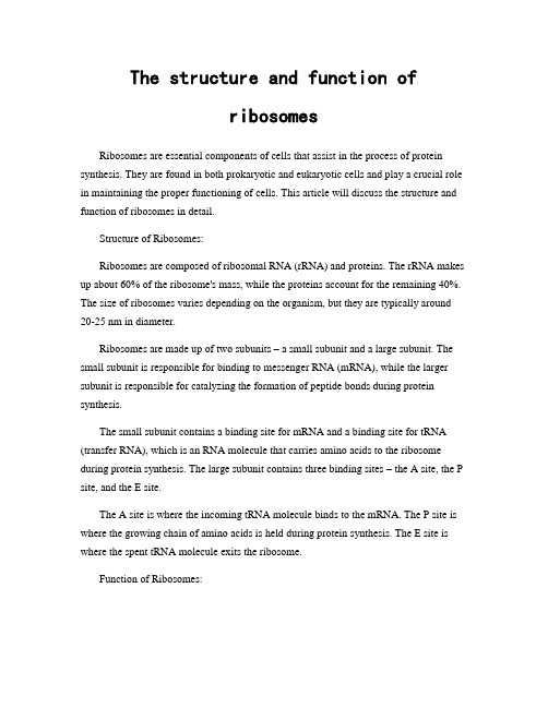 The structure and function of ribosomes