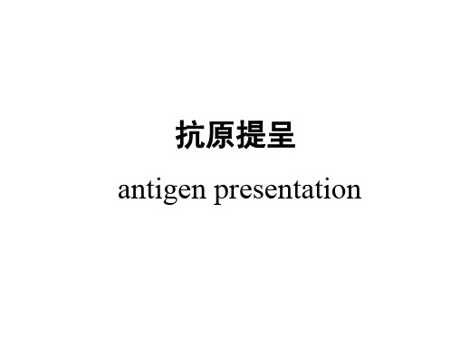 第11章_抗原提呈Agpresentation