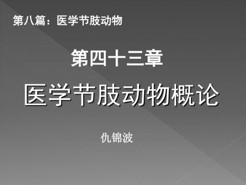 医学节肢动物概论PPT课件