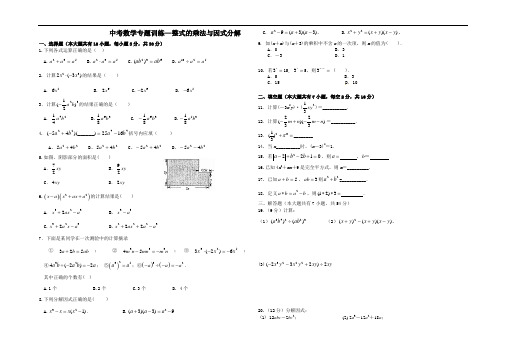 中考数学专题训练-整式的乘法与因式分解(含答案)