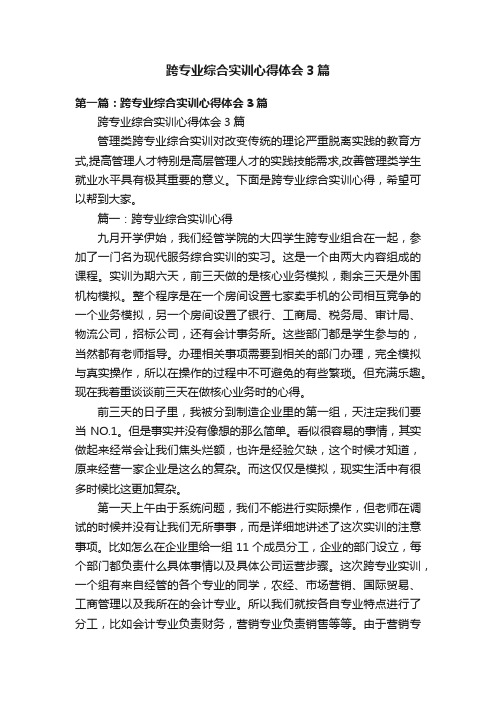 跨专业综合实训心得体会3篇