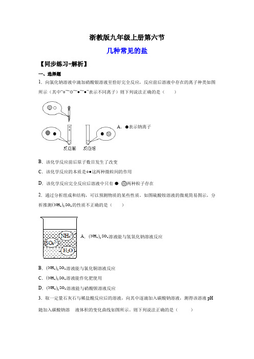 2022-2023学年浙江九年级上学期科学同步练习1-6几种重要的盐(含详解)