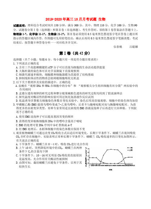 2019-2020年高三10月月考试题 生物