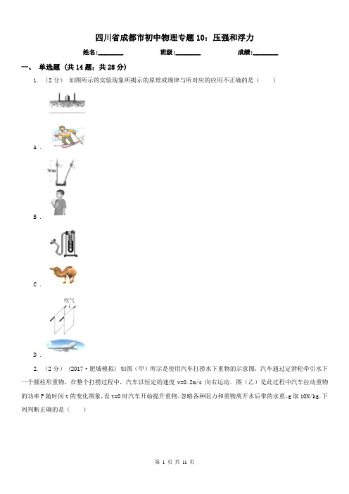 四川省成都市初中物理专题10：压强和浮力