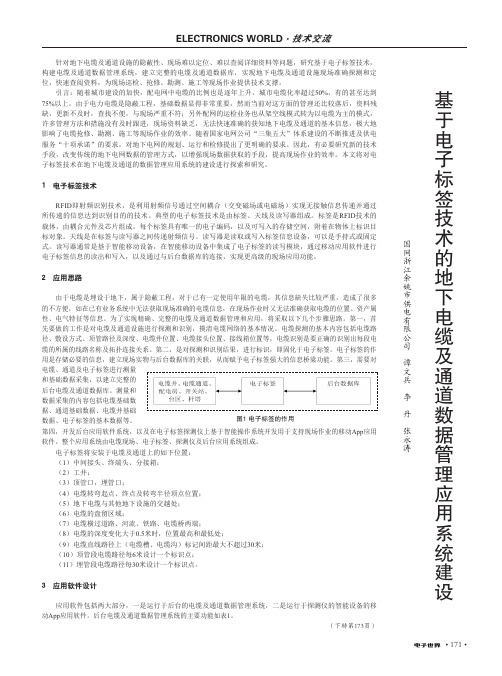 基于电子标签技术的地下电缆及通道数据管理应用系统建设