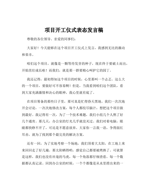 项目开工仪式表态发言稿