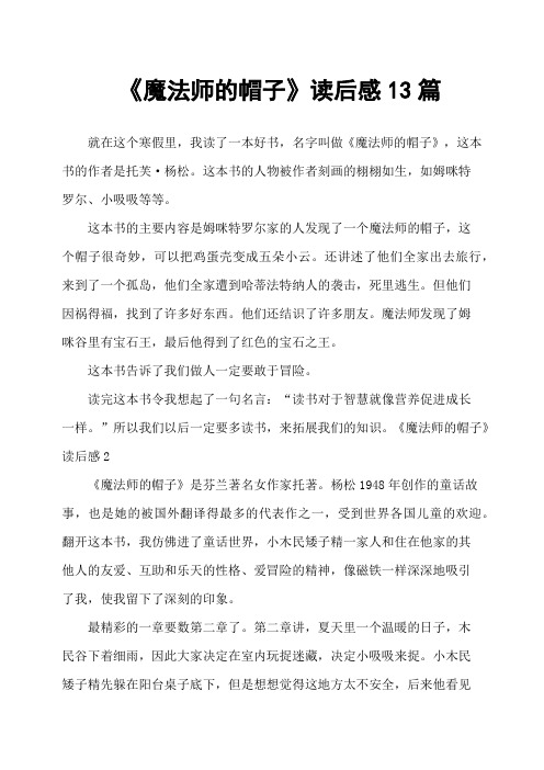 《魔法师的帽子》读后感13篇