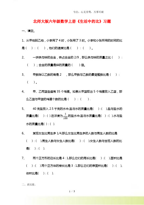 2023年北师大版六年级数学上册《生活中的比》习题